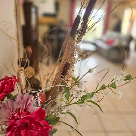 Villa Classée 4 étoiles Volonne